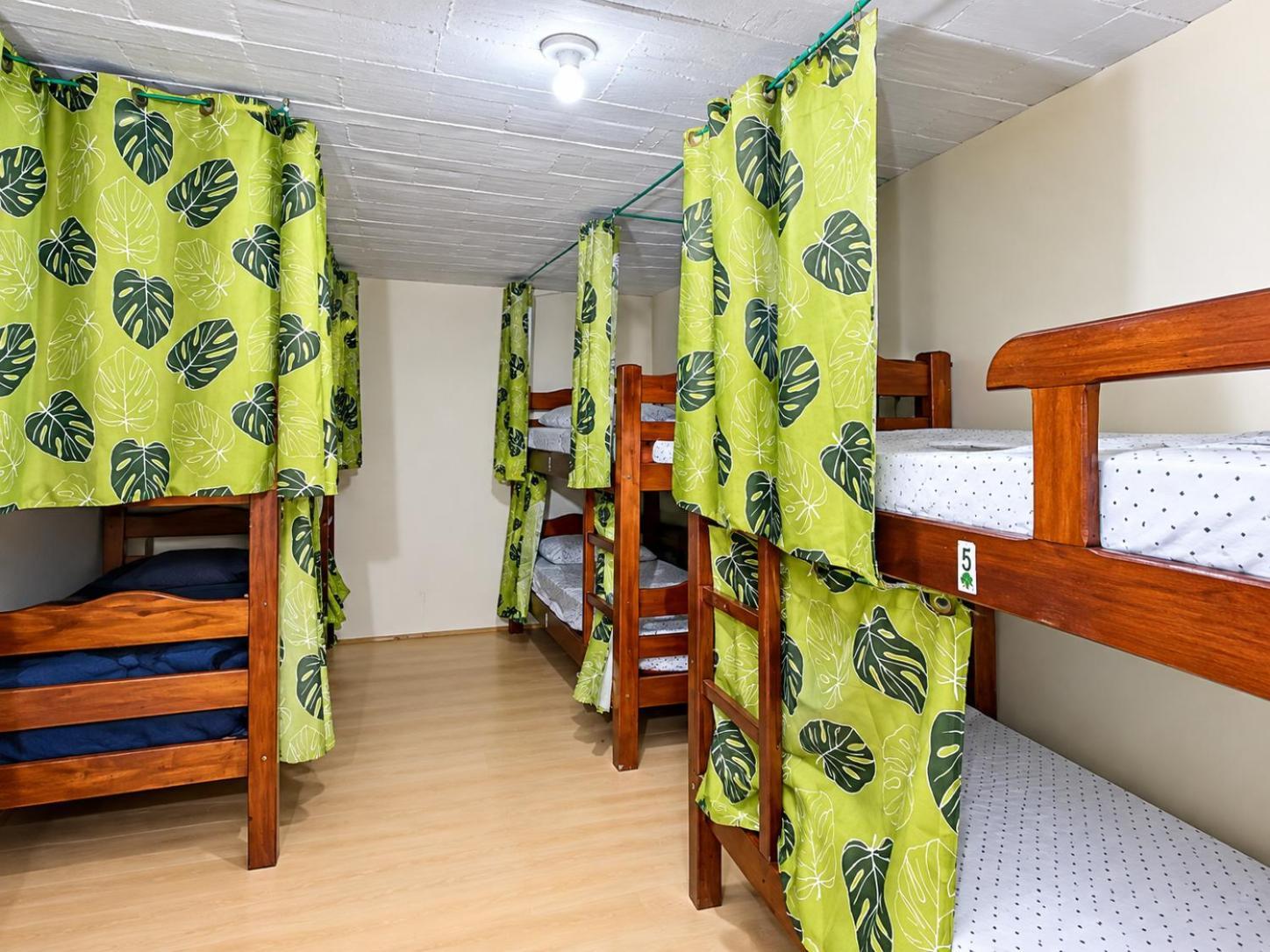 Bunk Bed in Mixed Dormitory Room